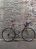 colnago-decor-xl