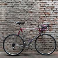 Colnago Decor XL