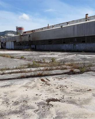 Immobile di 46000 m² con 1 locale a Sessa Aurunca