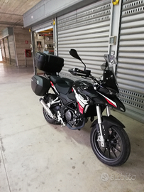 Benelli trk251