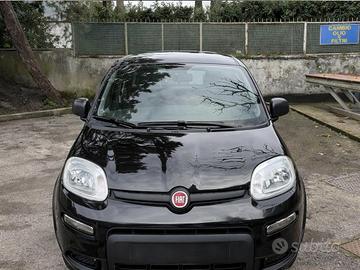 panda 2023 hybrid