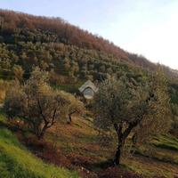 TER. AGRICOLO A PIEVE A NIEVOLE