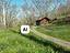 Immagine 29