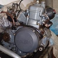 motore rotax 123 125cc Aprilia rs