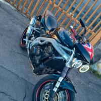 triumph 955i daytona