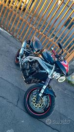 triumph 955i daytona