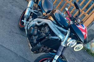 triumph 955i daytona