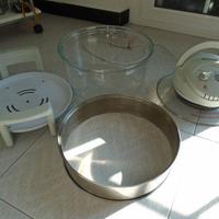 fornetto elettrico ventilato in vetro