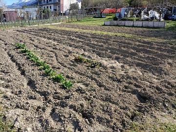 Terreno agricolo