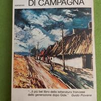Diario di un curato di campagna 
