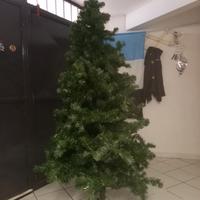 Albero di natale