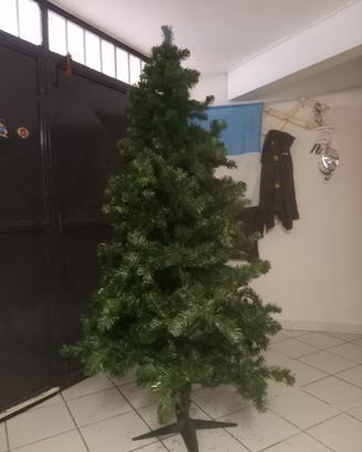 Albero di natale