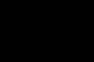 Appartamento ampio e luminoso per ufficio