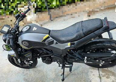 Benelli Leoncino 250 anno 2022