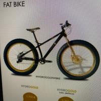 Fat bike hydro gold