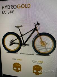 Fat bike hydro gold