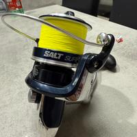 Mulinello surf casting Shakespere Salt surf
