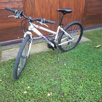 Mtb rockrider 300 mis.26 fino a c.a H155cm