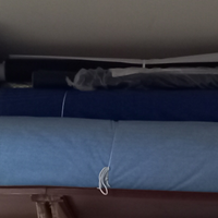 Raso pelliccia e accoppiato carnevale