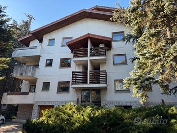 Opicina - Attico due livelli con terrazze