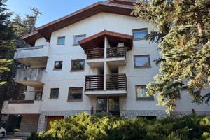 Opicina - Attico due livelli con terrazze