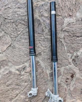 Forcelle beta rr 48 sachs 2019 2018 2017 2016