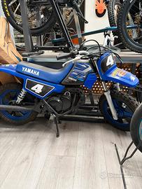 Yamaha pw