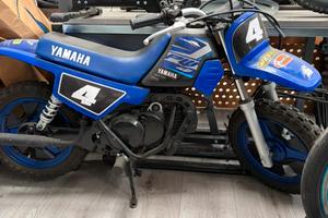 Yamaha pw