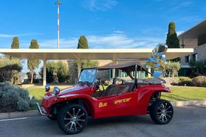 Buggy omologati 3 posti