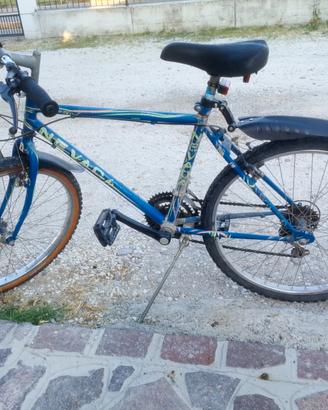 biciclette