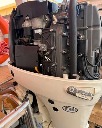 Johnson 115 hp