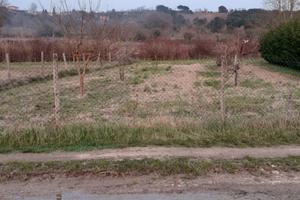 Terreni coltivabili