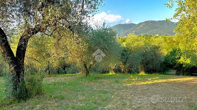 TER. AGRICOLO A TORRI IN SABINA