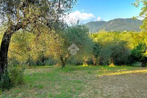 TER. AGRICOLO A TORRI IN SABINA