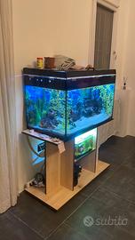 acquario vuoto 
