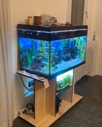 acquario vuoto 