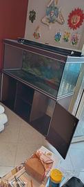  acquario 