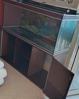  acquario 