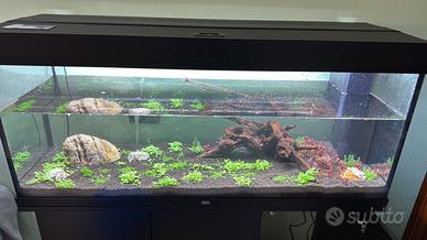 Acquario juwel rio 240