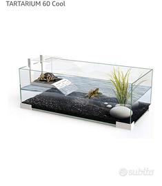 acquario ciano 60