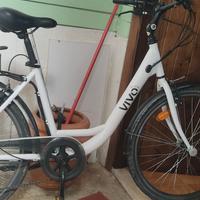 Bici elettrica 