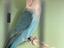 Immagine 4