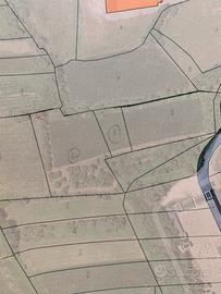 Terreno agricolo con piccolo boschetto