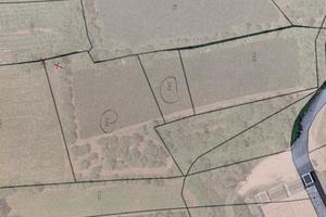 Terreno agricolo con piccolo boschetto