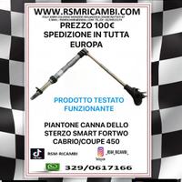 PIANTONE CANNA DELLO STERZO SMART 450 CABRIO COUPE