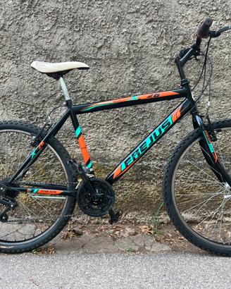 Bici da uomo 26 mtb