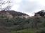 Immagine 15