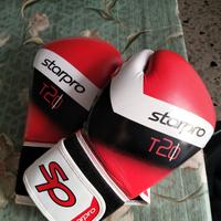 guantoni boxe 12oz