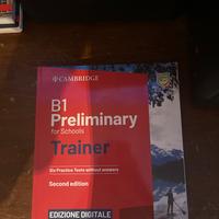 B1 cambridge trainer