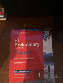 B1 cambridge trainer